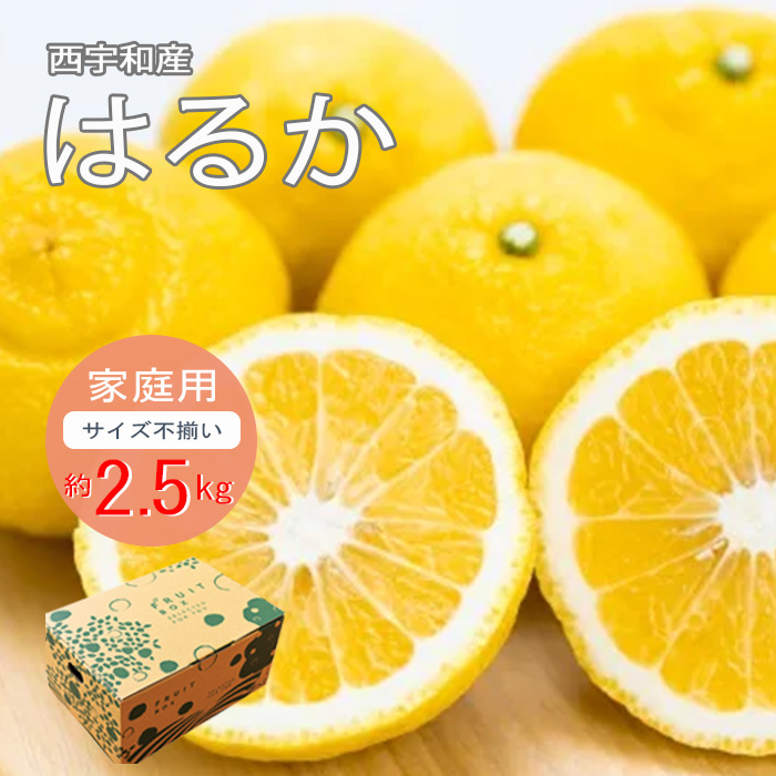 ＜農ぷらす愛媛＞はるか 2.5kg（家庭用・サイズ不揃い）＜予約販売＞※送料込み