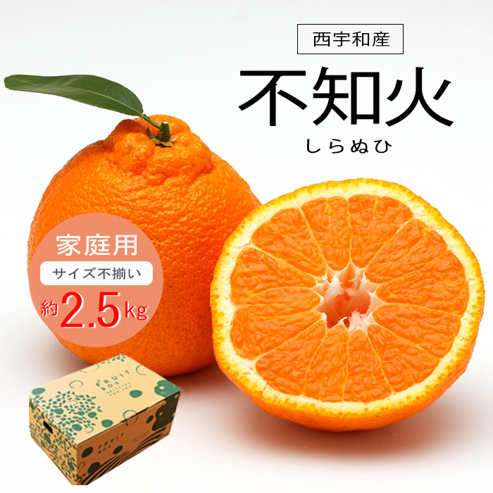 ＜農ぷらす愛媛＞しらぬひ 2.5kg（家庭用・サイズ不揃い）＜予約販売＞※送料込み