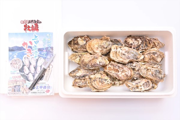 ＜AINAN STAND＞冬季限定　上甲会の牡蠣　Mサイズ3kg【冷蔵】