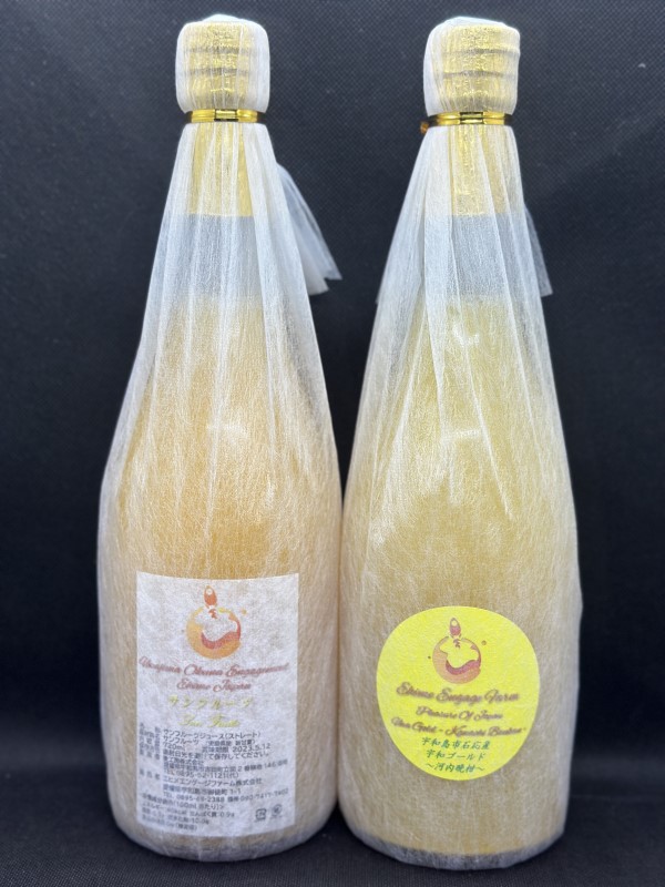 『販売期間5月下旬～翌年2月』【愛媛宇和島】初夏の恵み　ビターペアセット　サンフルーツ＆宇和ゴール ド