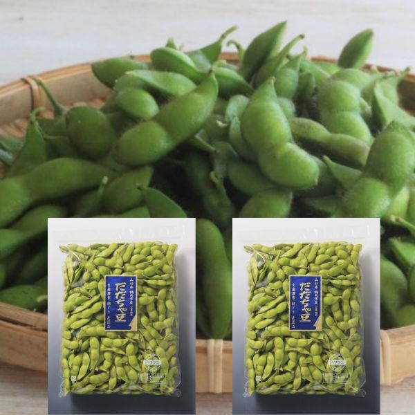 【山形県】朝採れ！本場鶴岡白山地区(寺田産)だだちゃ豆　1kg×２＜予約販売＞