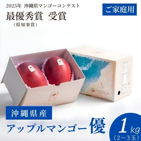 ＜予約販売＞沖縄県産アップルマンゴー＜優品1kg＞ （2～3玉）