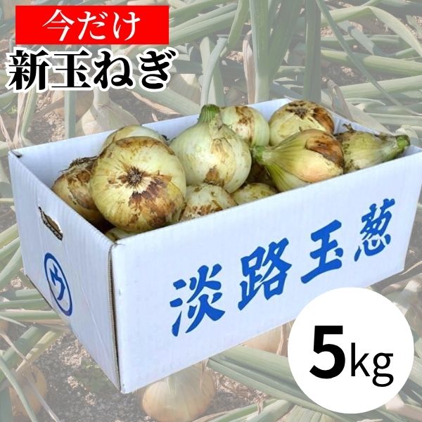 ＜2026年 新玉ねぎ＞【馬詰青果】馬ちゃんのウマ玉 昔ながらの淡路島玉葱 5kg ※送料込み