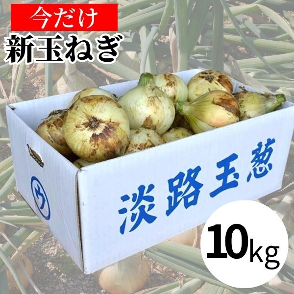 ＜2026年 新玉ねぎ＞【馬詰青果】馬ちゃんのウマ玉 昔ながらの淡路島玉葱 10kg ※送料込み
