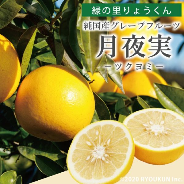 【緑の里りょうくん】宮崎県産グレープフルーツ「月夜実」４㎏入　＜送料込み＞