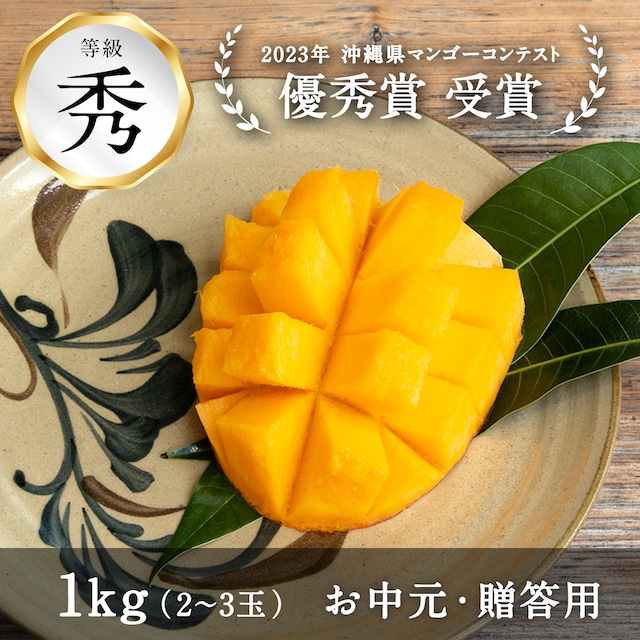 準備中【沖縄県】＜秀品1kg＞アップルマンゴー （2～3玉）※予約販売（送料込み）