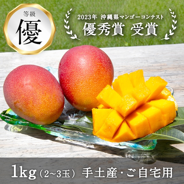 準備中【沖縄県】＜優品1kg＞アップルマンゴー （2～3玉）※予約販売（送料込み）