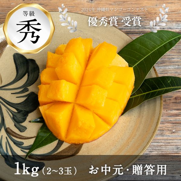 【沖縄県】＜秀品1kg＞アップルマンゴー （2～3玉）