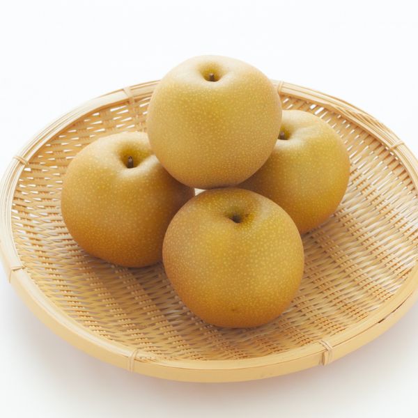【梨のしずく】豊水　3キロ（６～８玉）＜予約販売＞※送料込み