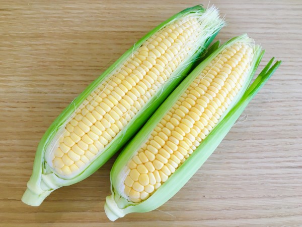 ＜５月販売開始＞【広島県安芸太田町】朝採れとうもろこしピクニックコーン3ｋｇ（10～15本程度）　※予約販売