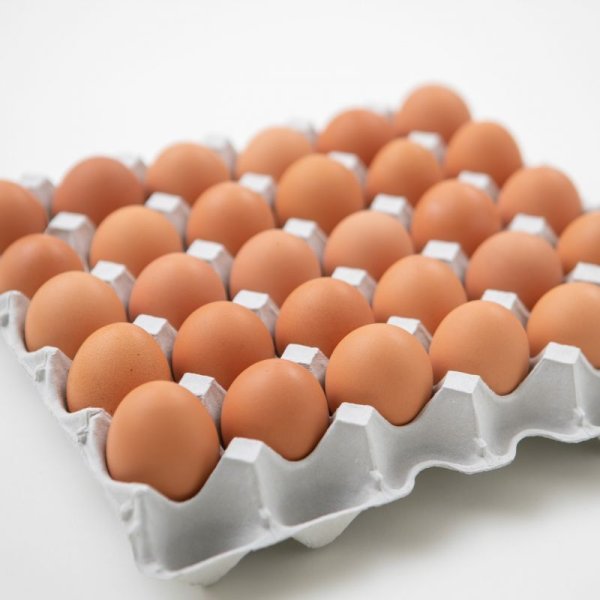 【養鶏場産直】こだわり家族のこだわり卵30個入り