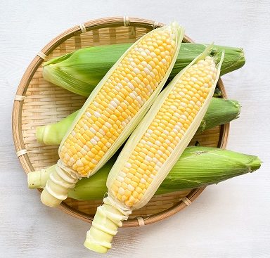 ＜準備中＞【Juwari-じゅわり-】ドルチェドリーム　4kg（約8～11本）　※予約販売