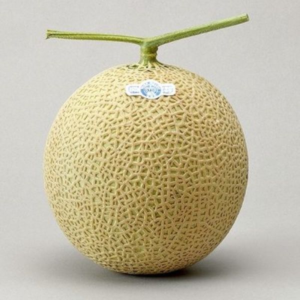 静岡県産クラウンメロン(山等級) 1.2kg×1玉