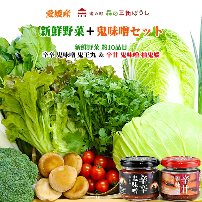 『森の三角ぼうし』新鮮野菜＋鬼味噌セット