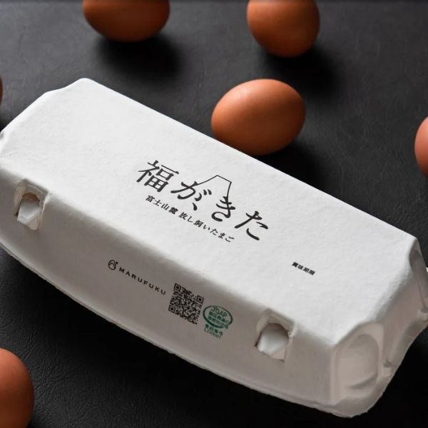 【マルフク】放し飼い卵「福が、きた」１０個入り×２パック