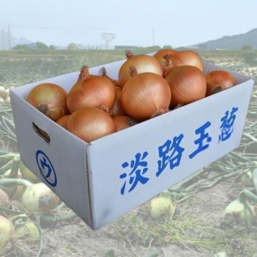 【馬詰青果】馬ちゃんのウマ玉 昔ながらの淡路島玉葱 １０kg ※送料込み