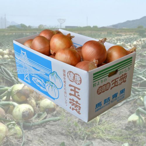 【馬詰青果】馬ちゃんのウマ玉 昔ながらの淡路島玉葱 １０kg ※送料込み