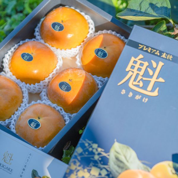 ＜予約販売＞プレミアム太秋　魁（さきがけ）特選2kg（5・6玉）