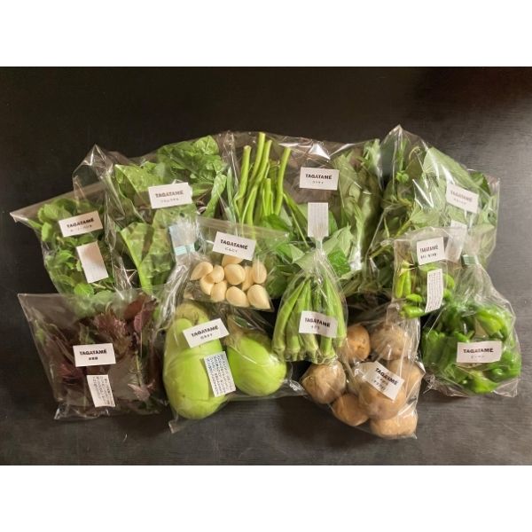 【TAGATAME】 香川県産旬の野菜BOX（ランダム）7～10種BOX