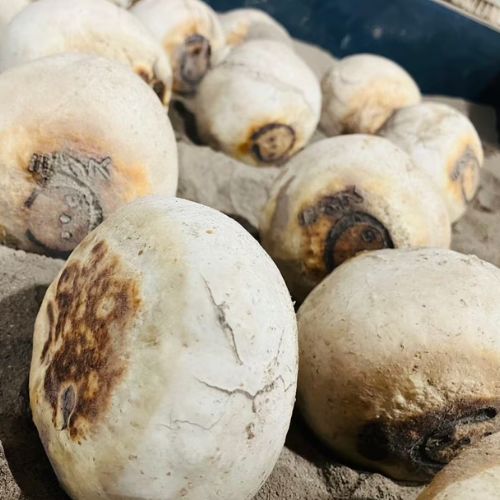 【安曇野おやき はいから】炭焼きおやき＜オススメセット＞ 10個セット（なす・野沢菜・野菜ミックス・山賊焼き・野菜ピザ 各2個　計10個）