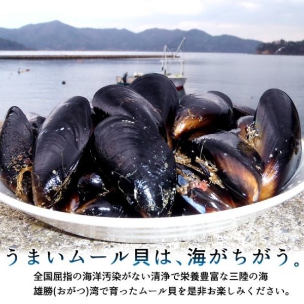 【海遊】三陸ムール貝(中) 1kg