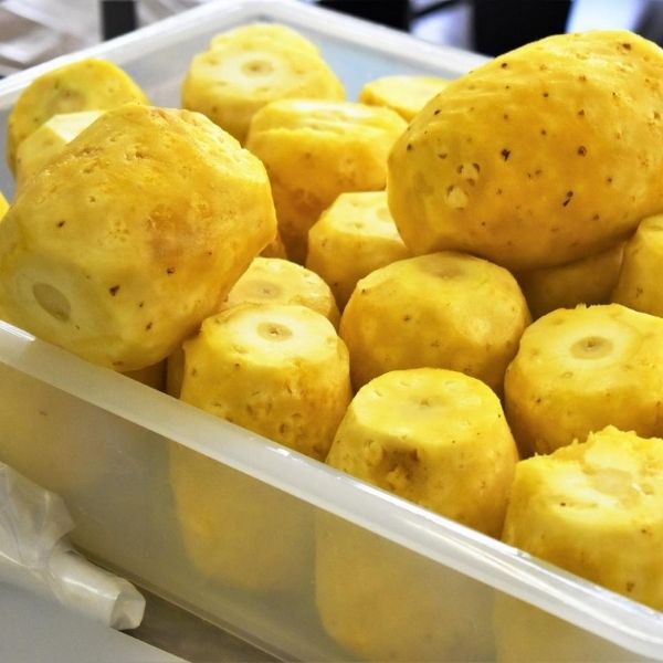【沖縄CLIPマルシェ】冷凍完熟パイン 1kg ※送料込み