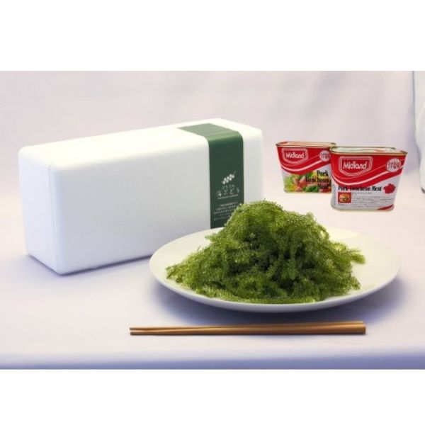 【海ん道（うみんち）】海ぶどうポーたまセット！ひと口食べたら沖縄気分♪ ※送料込み