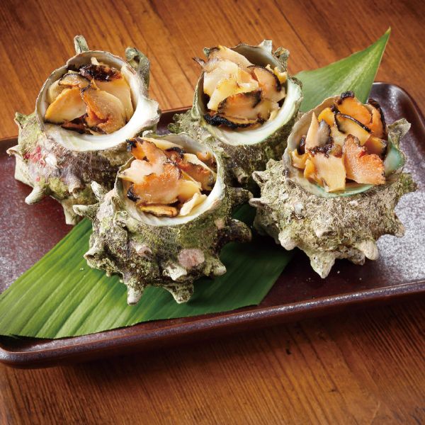 【サンセット】冷凍殻付きお造りさざえ（1袋）