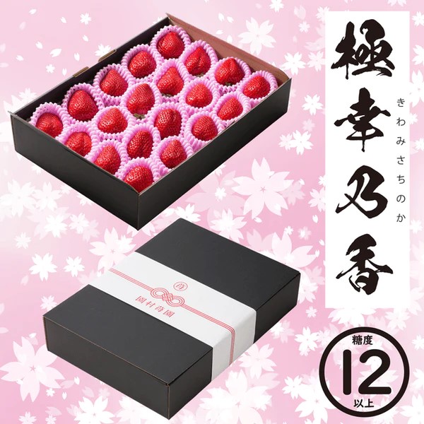 【園村苺園】★糖度12度以上★ 極幸乃香《白》600g＜冷蔵＞