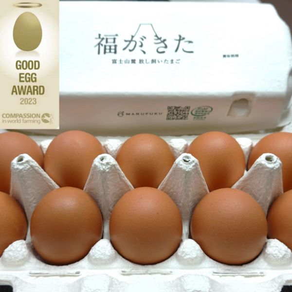 【マルフク】放し飼い卵「福が、きた」１０個入り×２パック