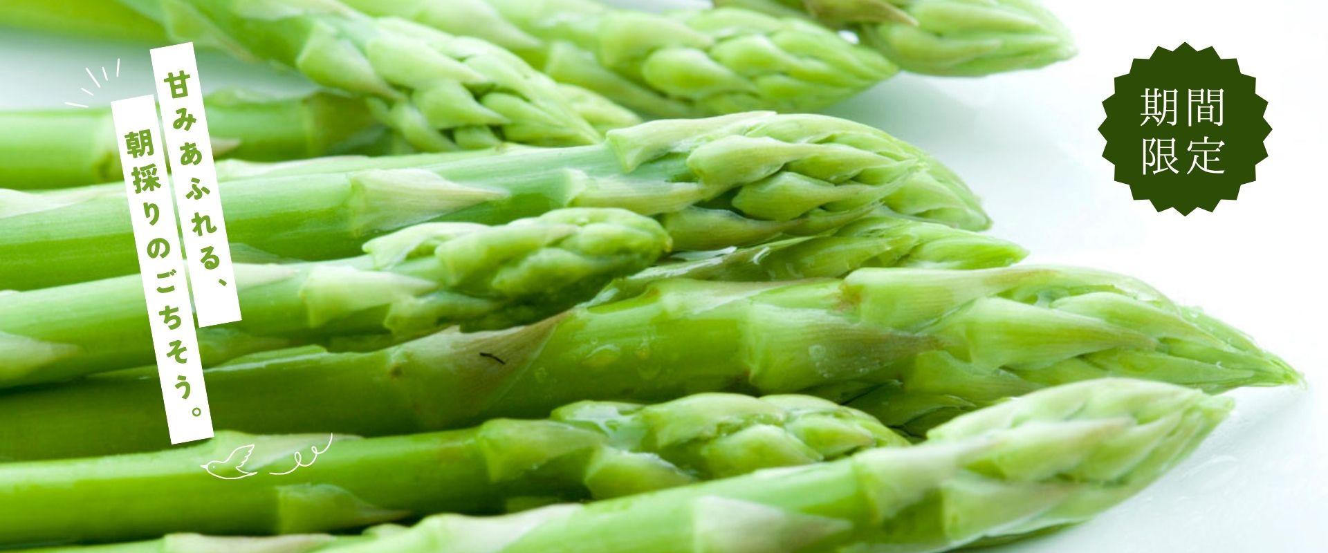 旭川地場産業振興センター（野菜）