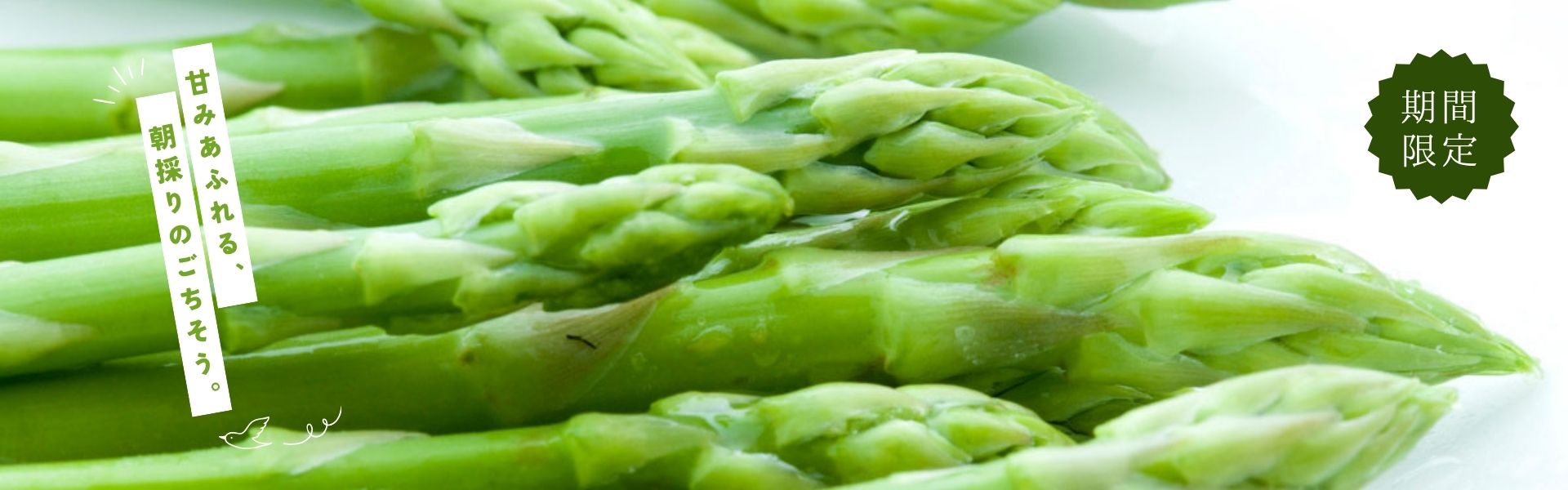 ”旭川地場産業振興センター（野菜）"