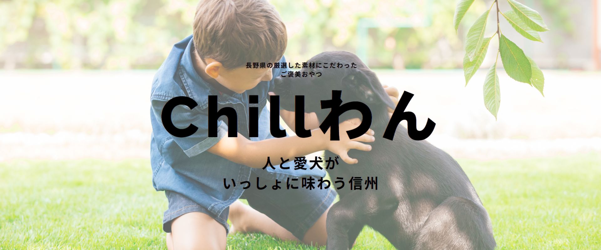 Chillわん（ペットフード）