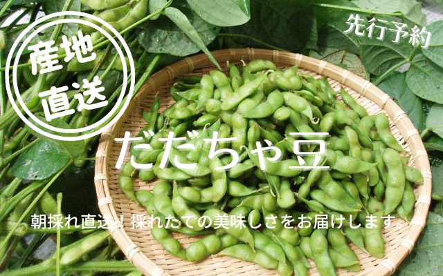 だだちゃ豆