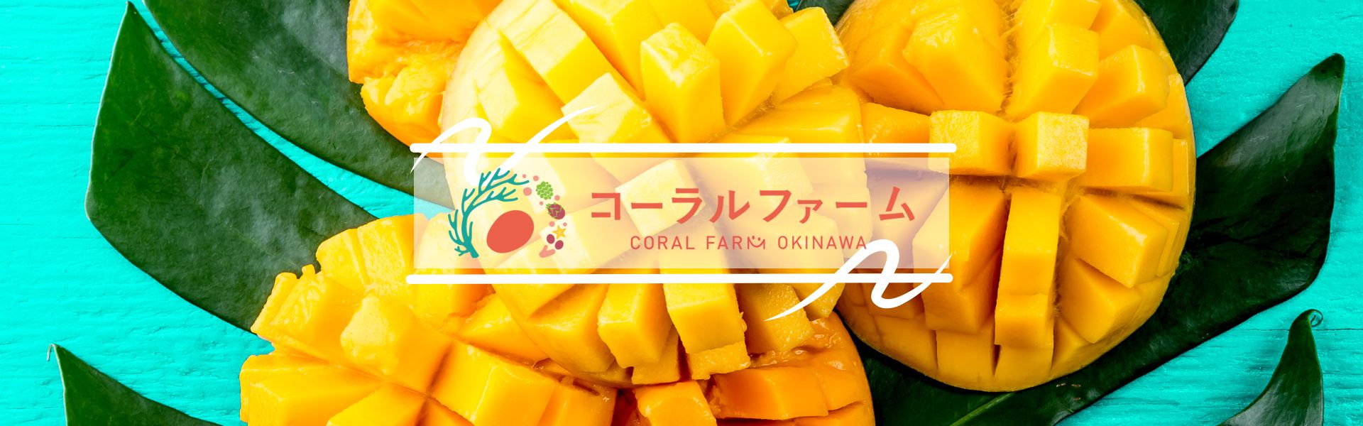 ”＜2025予約販売開始＞沖縄県産アップルマンゴー"