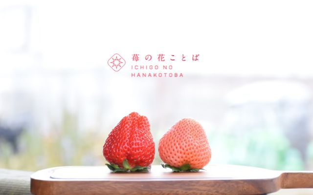 苺の花ことば