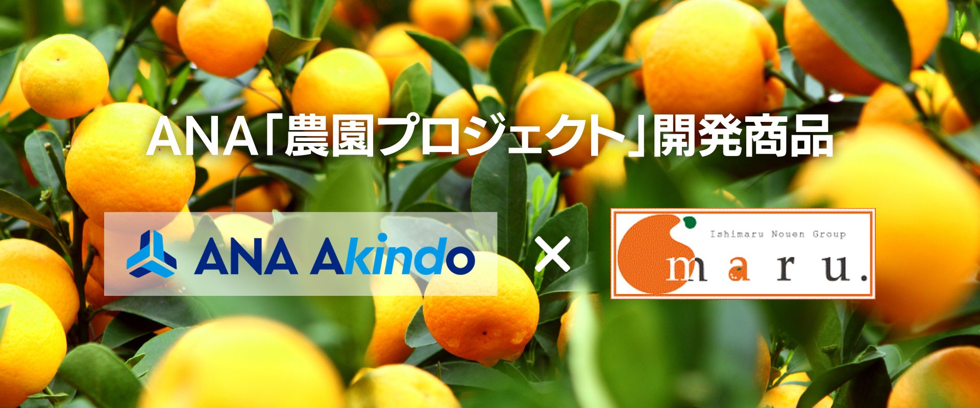 パソコン用の画像