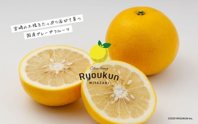 緑の里りょうくん
