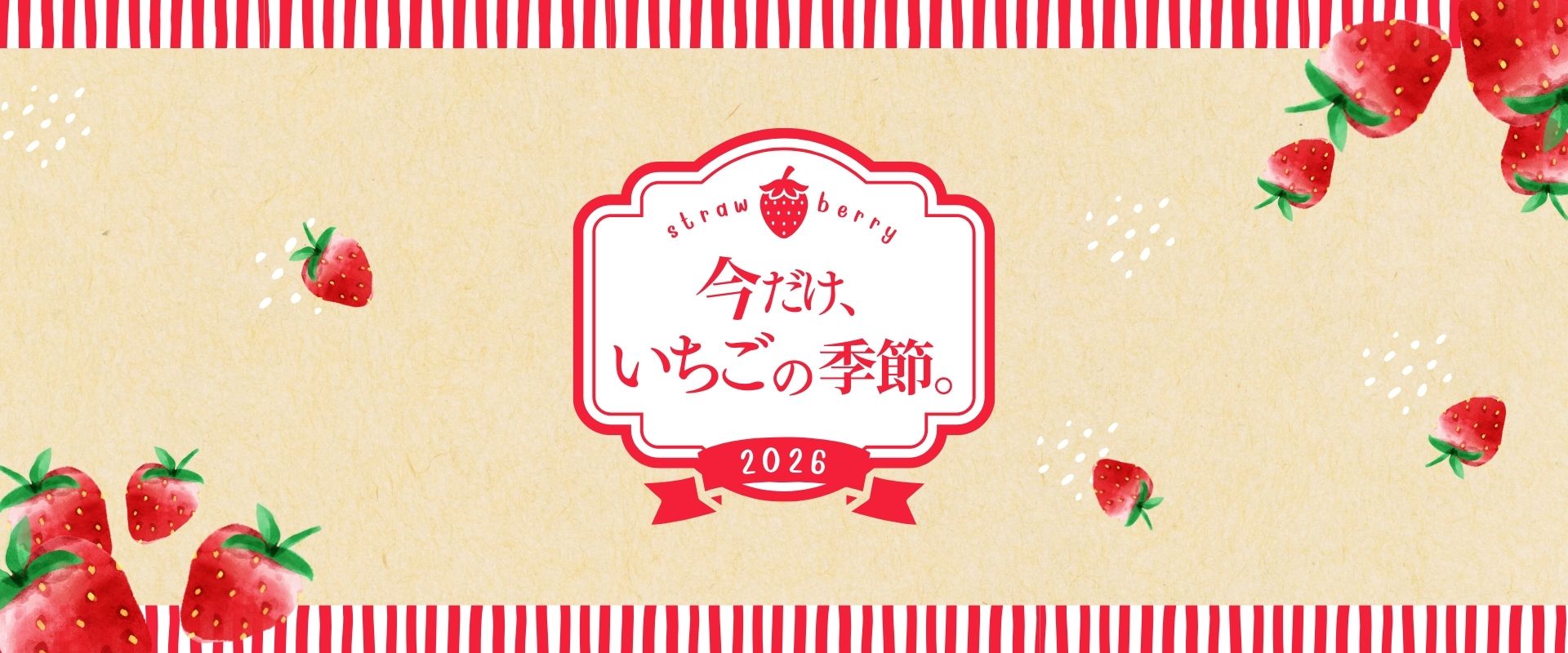 いちご特集