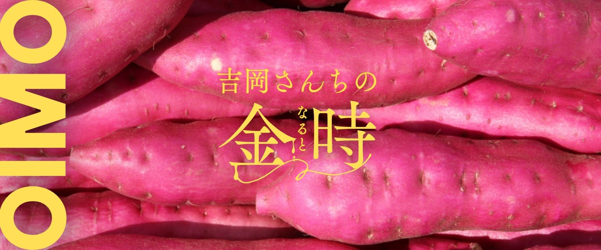  吉岡ファーム（なると金時）