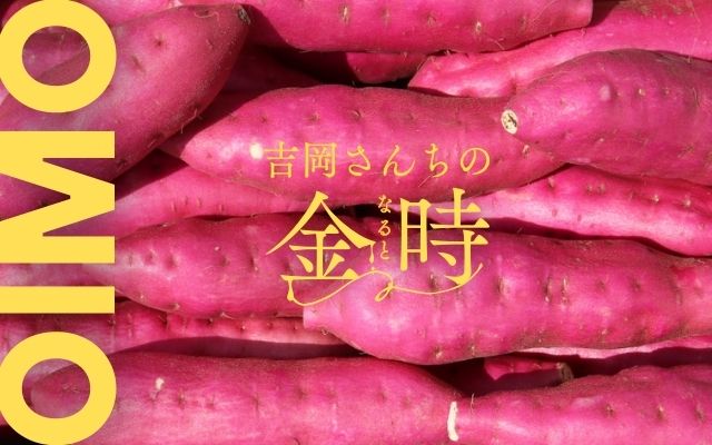  吉岡ファーム（なると金時）
